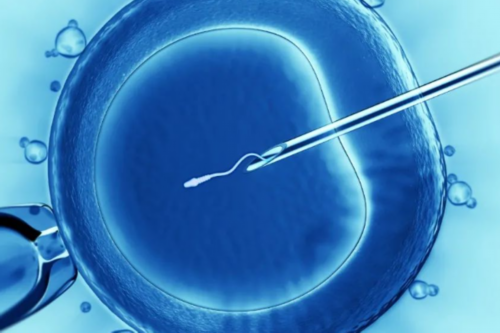 福州试管代生机构,为什么做试管会失败-梦见黑色鞋垫子鱼生男生女_上海正规供