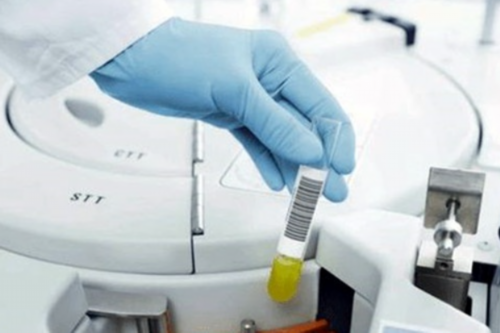 贵阳供卵生女孩,贵阳做试管婴儿需要满足哪些条件？_上海供卵试管中心机构