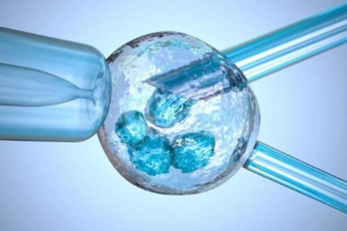 移植失败会不会影响月经！移植失败后第二次月经不来有缘故！,试管代怀医院