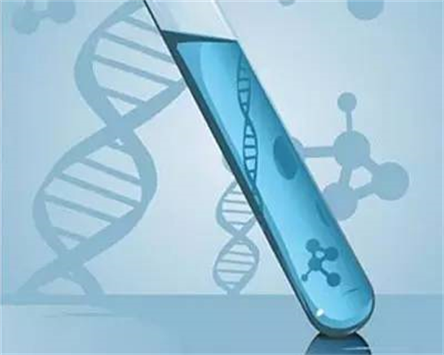 国外试管婴儿可以找人代生吗,年龄与卵泡数量的关系，美国试管专家从5方面提