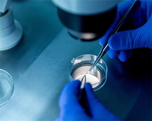 贵阳代孕将会受到什么处罚|试管婴儿自己找供卵者,广州供卵医院找坤和助孕全