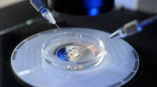 正规代生网,美国试管婴儿进入周期后的注意事项有哪些-看手像生男生女-做试管