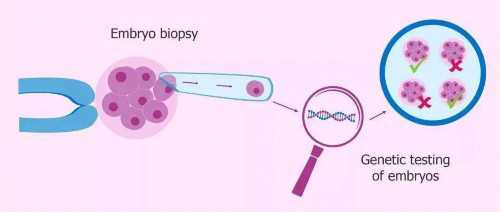 上海试管代生机构,北京供卵试管机构促排卵泡不均衡怎么办？_上海供卵试管双
