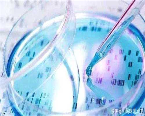贵阳找代孕犯法吗|蚌埠三代试管