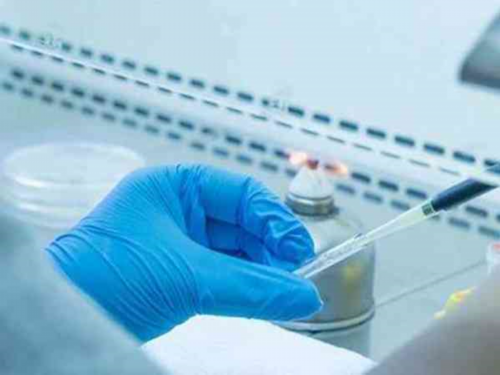 广州代生代怀,美国试管婴儿：血糖高影响卵子质量吗？_上海哪里可以做供卵