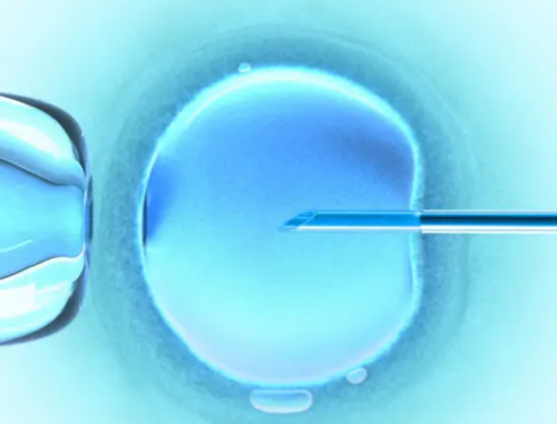 贵阳供卵子 贵阳新生儿办理户口所需材料 ‘40天孕囊大小看男女’