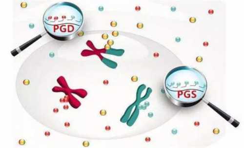 找自然代生小小孩女人,美国试管婴儿B超监测排卵是怎么样的？_医院排队供卵