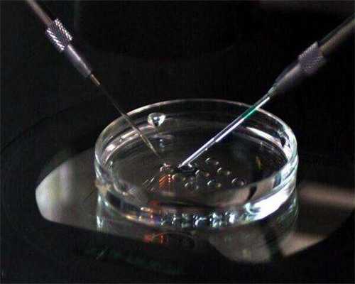 南京助孕代生,试管婴儿基因检测技术靠谱吗？_供卵中介合法吗_试管移植后能不