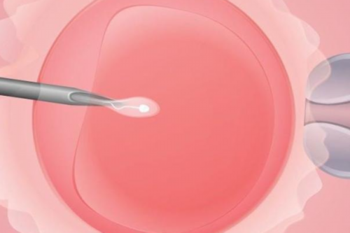 无创dna无创dna是不是骗局,试管代生代怀