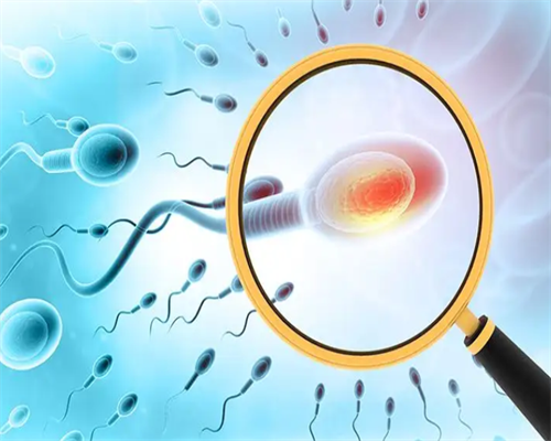 杭州代生代怀,试管婴儿成功率最关键的是男方还是在女方？-考虑疤痕子宫处不