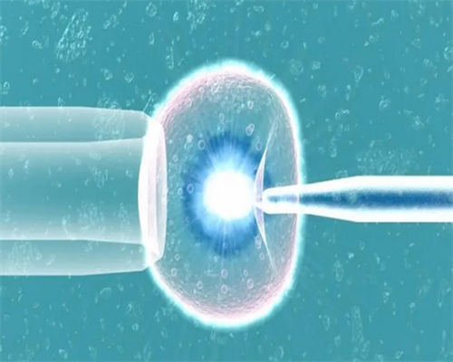 贵阳公立供卵,贵阳做试管婴儿的私立医院排行前十有哪些？费用要多少？-上海