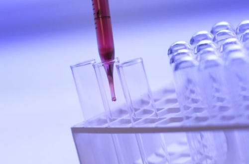 广州代生代怀,试管婴儿建议是移植一个还是两个胚胎？求专业的建议-尿酸高会