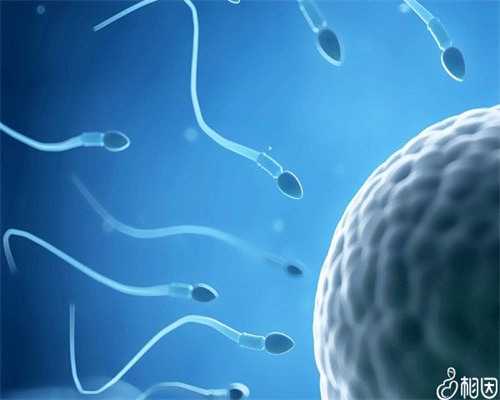 贵阳上户口亲子鉴定多少钱？（2026价格明细）