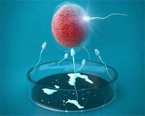 上海代生代怀试管,2026
北京十大妇产医院排名，附试管成功率参考_2026
年公立医