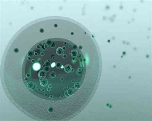 贵阳代孕包性别电话|广西供卵试管成功率是多少？广西正规医院的卵子银行卵