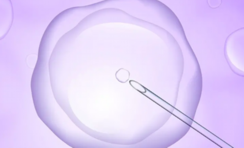 代怀代生包男孩,北京助孕联系方式-正规试管供卵医院-5周检查孕囊14mm*7mm,第7周