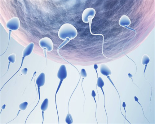 精子和卵子让别人代生,泰国试管婴儿怀双胞胎风险大吗？-试管移植前促黄体生