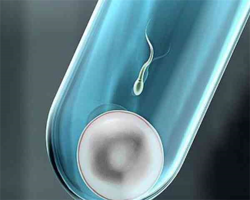 精子和卵子让别人代生,做试管婴儿子宫内膜厚度达到多少合适？_做试管促排期