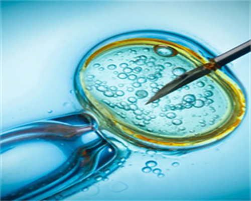 试管促排卵的那些事