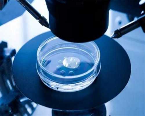贵阳代孕植入试管婴儿过程|石家庄第四医院供卵中心做一次试管费用多少？