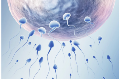 贵阳代生医院地址,试管婴儿可以找人代生吗 输卵管通而不畅治疗费用要多少？