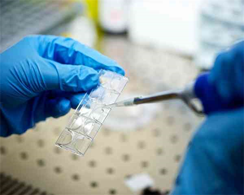 贵阳代孕微信扣扣群|乌鲁木齐市妇幼保健院生殖科供卵试管准备多少钱？