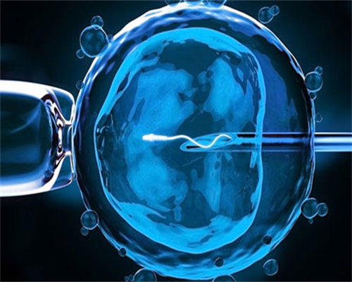 2026年新乡中心医院试管成功率高吗(一次成功的概率高吗)