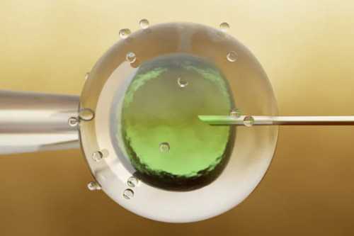 贵阳试管代怀群,贵阳医学院试管婴儿分析取卵少的原因-上海私立医院供卵多少