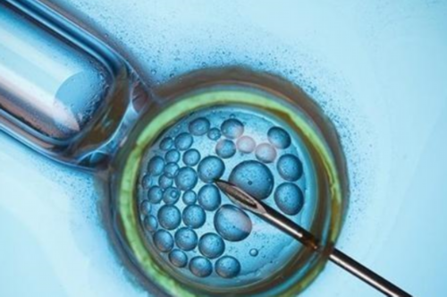 贵阳做试管代孕的经历|赤峰做试管婴儿大概多少钱