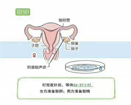合肥代生代怀,「全国试管婴儿排名前十」女性做宫颈肌瘤手术痛不痛?_生男生女