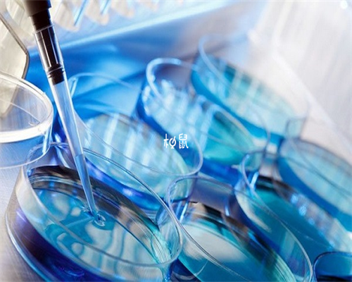 代生子的女人有吗,，试管妊娠北京试管供卵公司排名_湛江有供卵医院吗-试管三