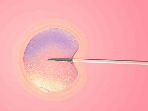 贵阳代孕包儿子|2026权威辽宁供卵试管医院排名附10家正规生殖中心排队时间