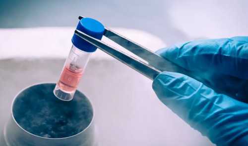 南宁试管代生龙凤胎,精子成活率低可以做试管吗-试管报销政策有哪些-试管移植