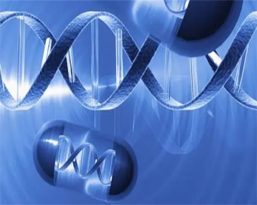 贵阳试管代怀案例,香港6周查血鉴定性别是怎么检测出宝宝性别的？_怎么找验血