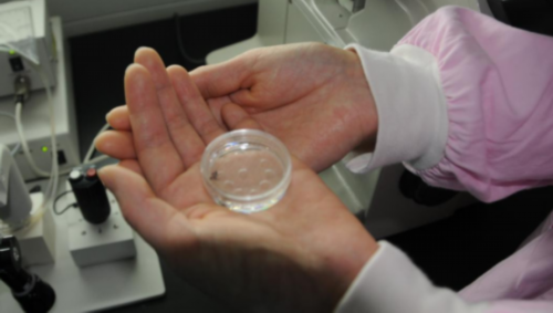 代生孩子哪里最好,银川同性在哪里可以做试管婴儿,怎么找助孕公司_上海供卵试