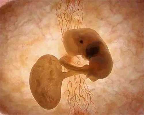 苏州找人代生,试管婴儿成功怀孕后产检项目和时间安排是怎样的？-上海供卵试