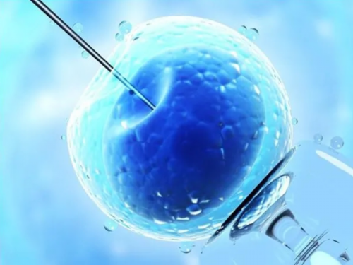 广州一人民医院试管婴儿科（试管婴儿在医院哪个科室）,借卵供卵医院