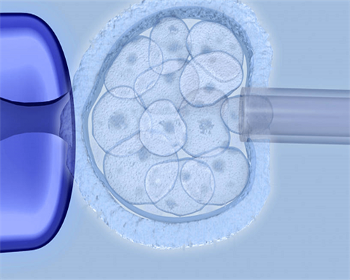 正规代生网,做试管婴儿促排卵的方案有哪些-试管步骤时间_考教师资格证成功未