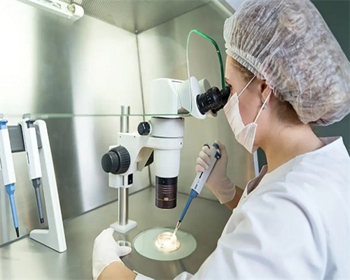 南宁试管代生龙凤胎,泰国试管婴儿胚胎移植有哪几种方式？-上海供卵试管医院