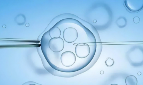 贵阳供卵正规机构,贵阳三代试管婴儿成功率有多理想？