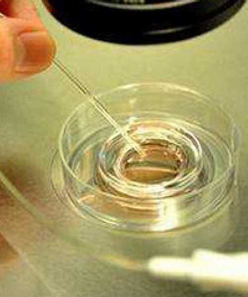 有招代生的吗,我的试管婴儿经历：多囊卵巢，第二次促排成功_上海供卵试管中