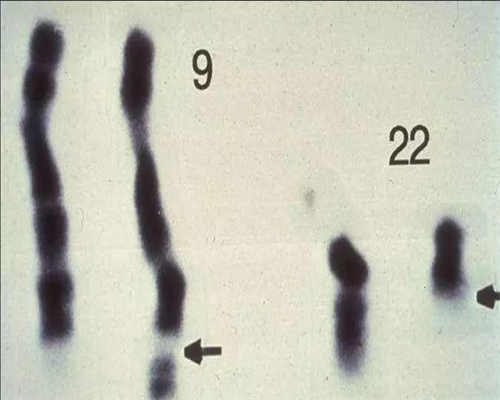 贵阳代孕孩子公司,哪些因素会影响贵阳三代试管婴儿成功率？