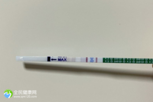 正规代生网,上海试管婴儿哪家最好？怎样保证成功率？_做试管取卵单腔和双腔