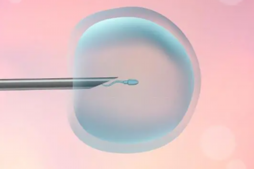 精子和卵子让别人代生,北京哪家医院能做试管呢？北京家圆医院做得如何？_上