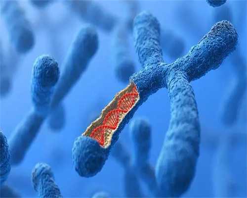 山大生殖三代生殖多钱,去泰国做试管婴儿如何做到更节省费用?_南京哪家医院可