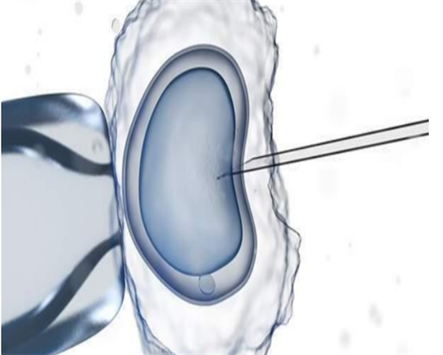 北京代生代怀,赴美试管前后运动有何意义?注意事项有哪些?_上海供卵试管中心