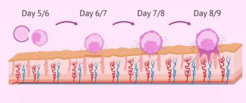贵阳代孕试管婴儿的经历|丽水供卵三代试管婴儿多少钱？附2026最新出炉三代试
