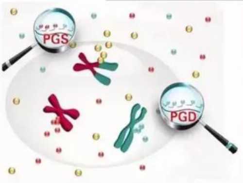 乌克兰代生,为啥试管为啥第一次成功不高？专家为您讲解原因！_治不好卵巢早