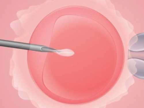 月经不来，做b超说陶氏腔积液,失独想要孩子