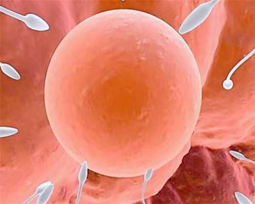 贵阳代孕女孩从哪里找|温州供卵试管婴儿医院哪家好？附一医还是附二医？